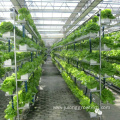 Vertical hydroponic system for planting vegetable